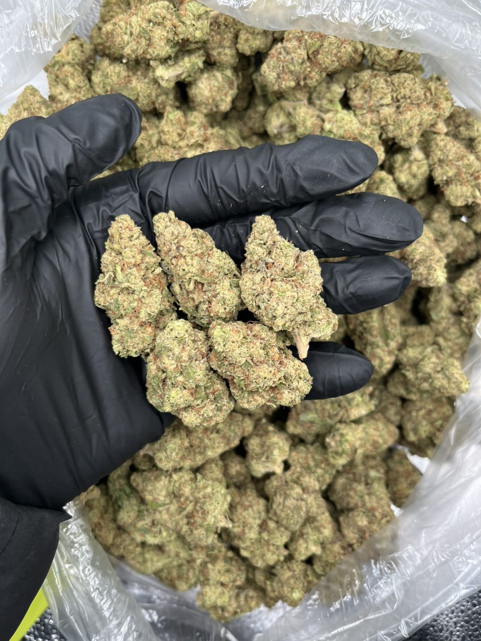 Muel Fuel ⛽️ — Indica available in Los Angeles