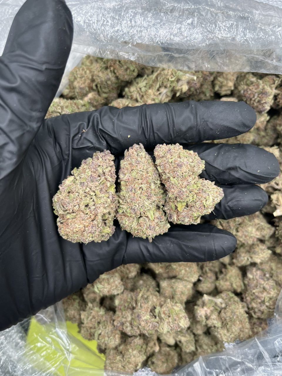 Trop cherry 🍊 🍒  — Sativa available in Los Angeles
