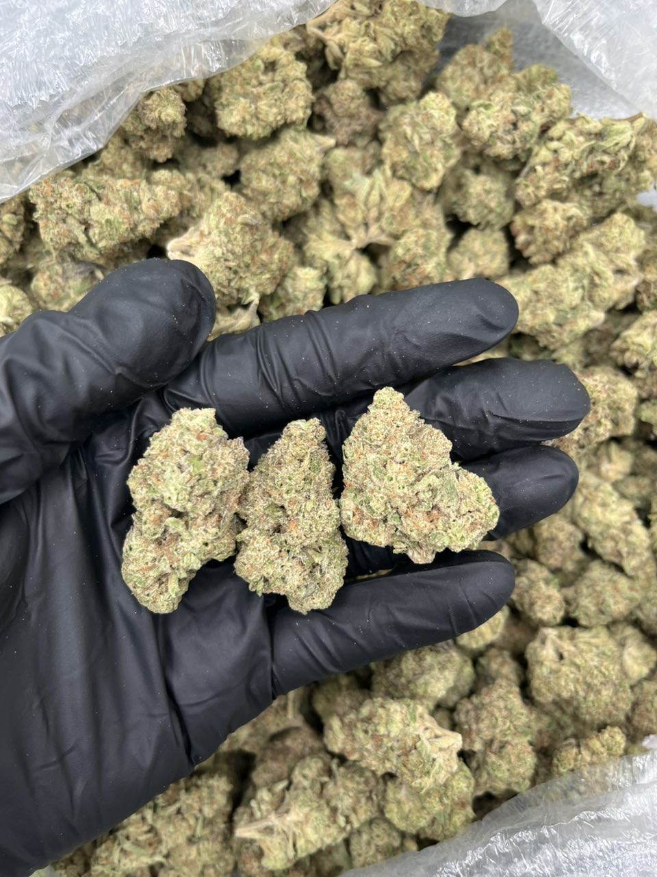 Jelly cake ๐ โ Indica available in Los Angeles