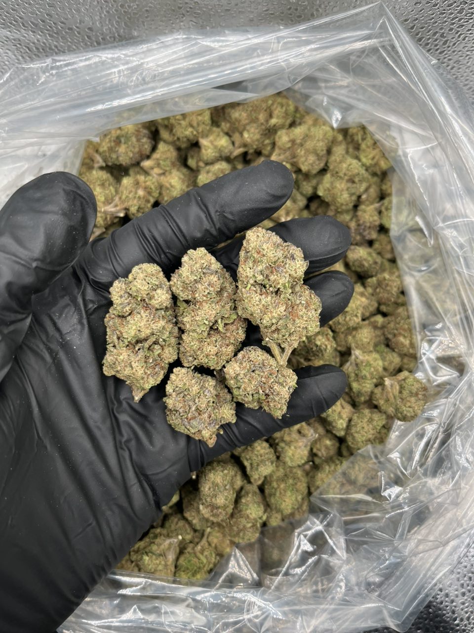 Lemon cherry gelato π β Hybrid available in Los Angeles