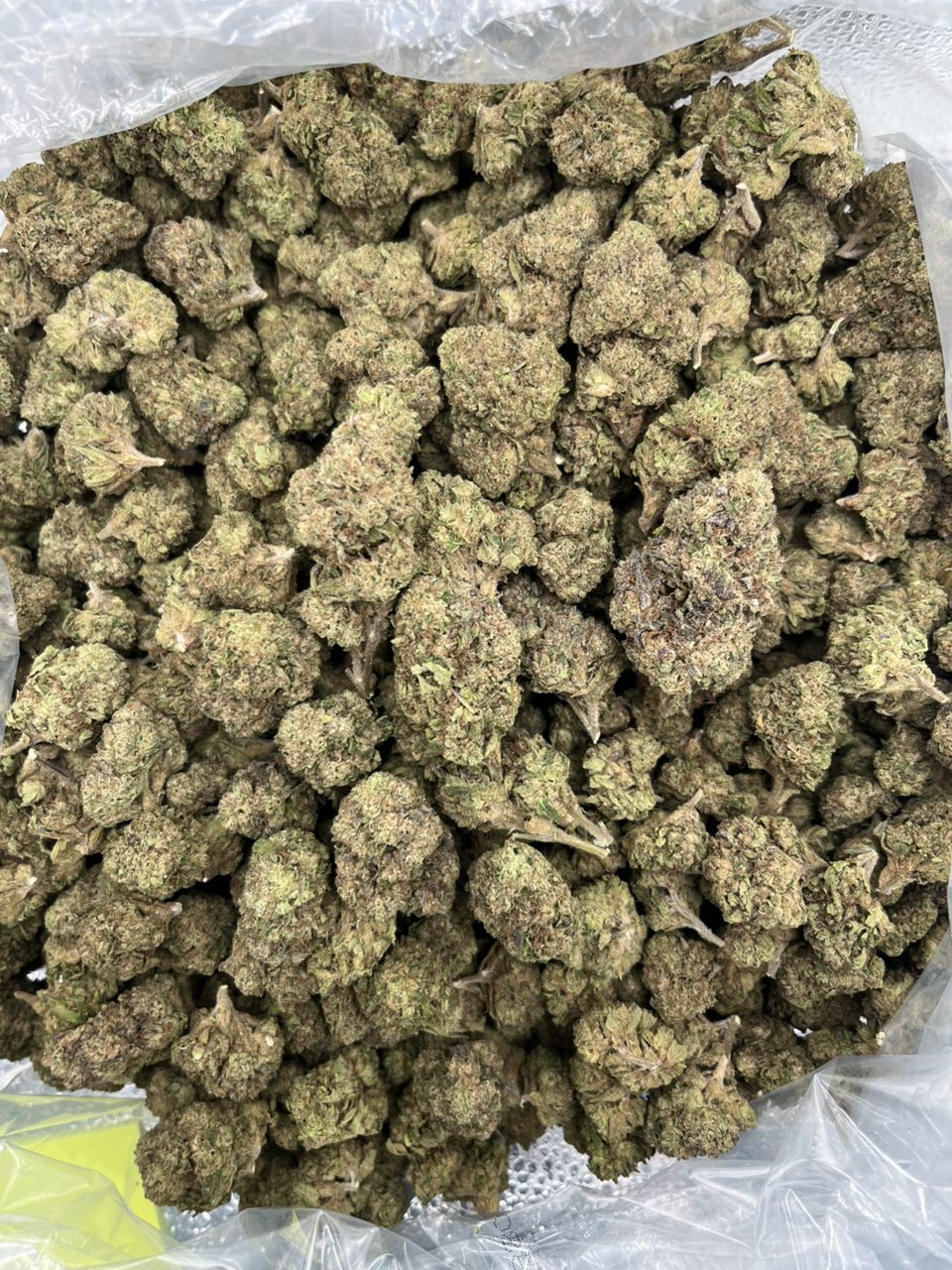 Candy gas 🍭 ⛽️   — Hybrid available in Los Angeles