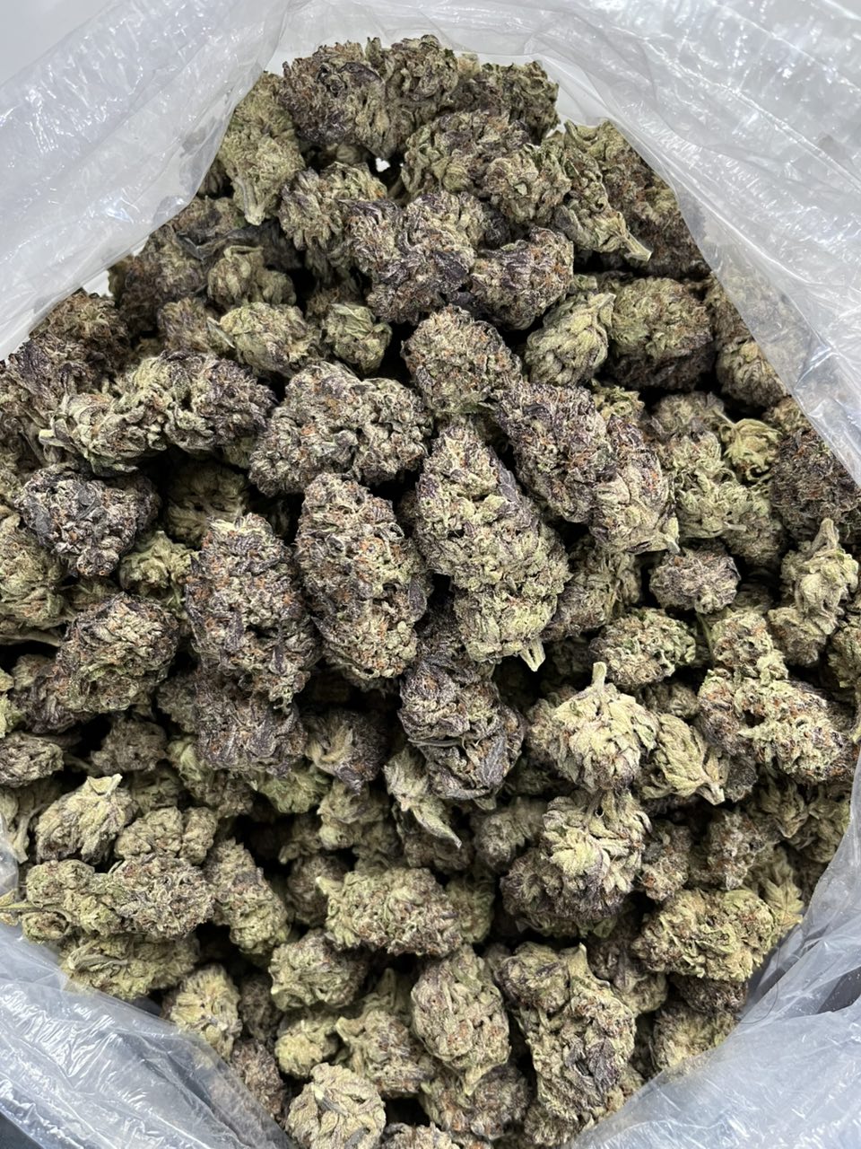 Mochi ⛽️   — Indica available in Los Angeles