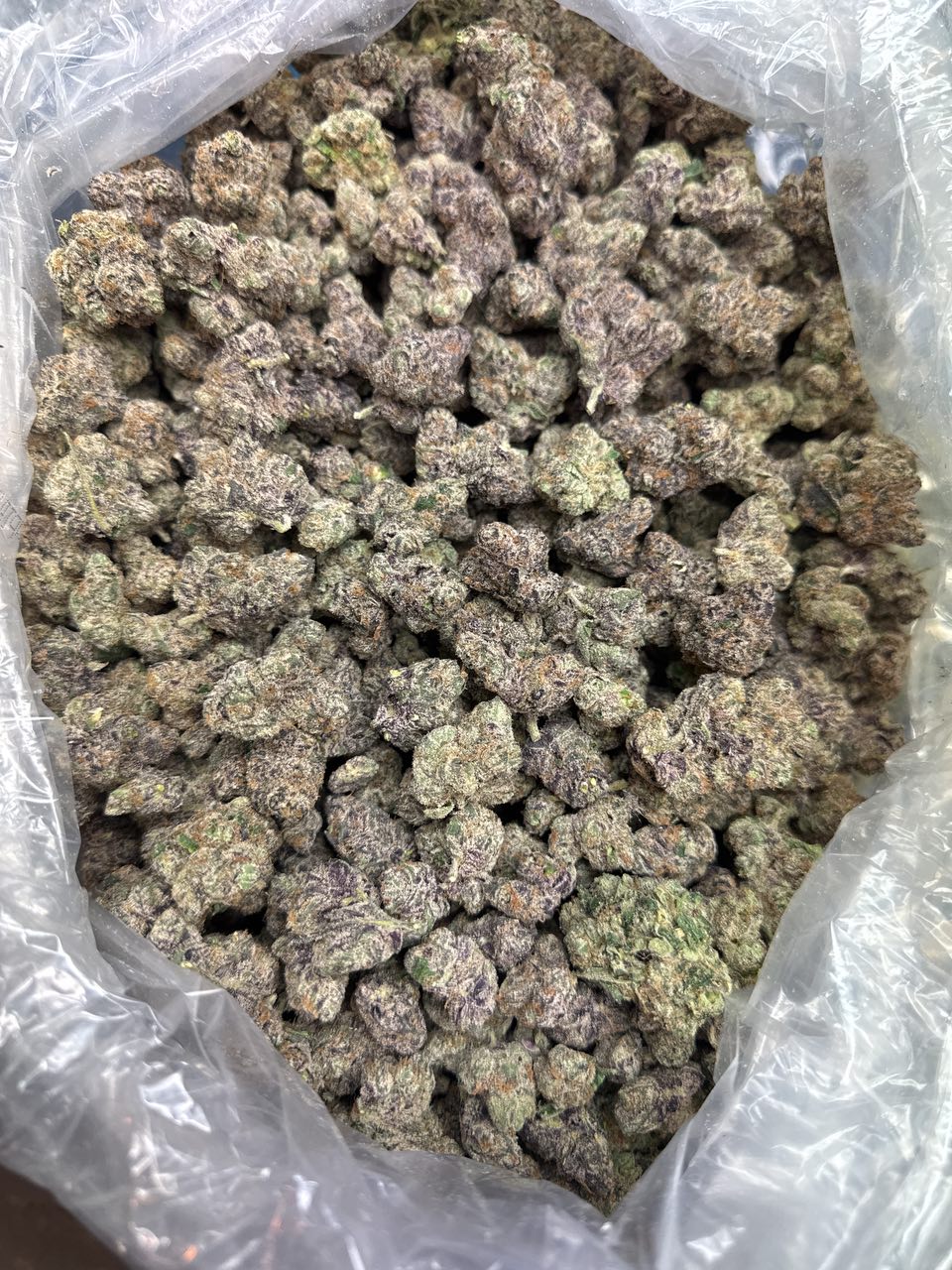 Za Za Runtz — Hybrid available in Los Angeles