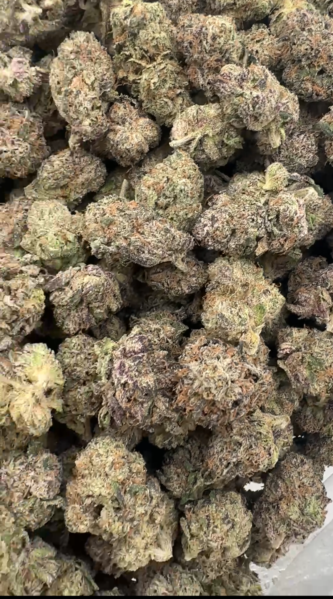 Lemon Cherry Popz  — Hybrid available in Los Angeles