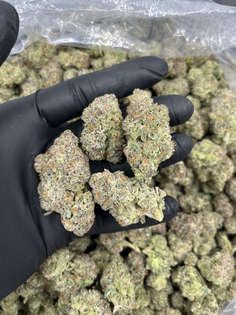 Apple Mochi 🍭 — Indica available in Los Angeles