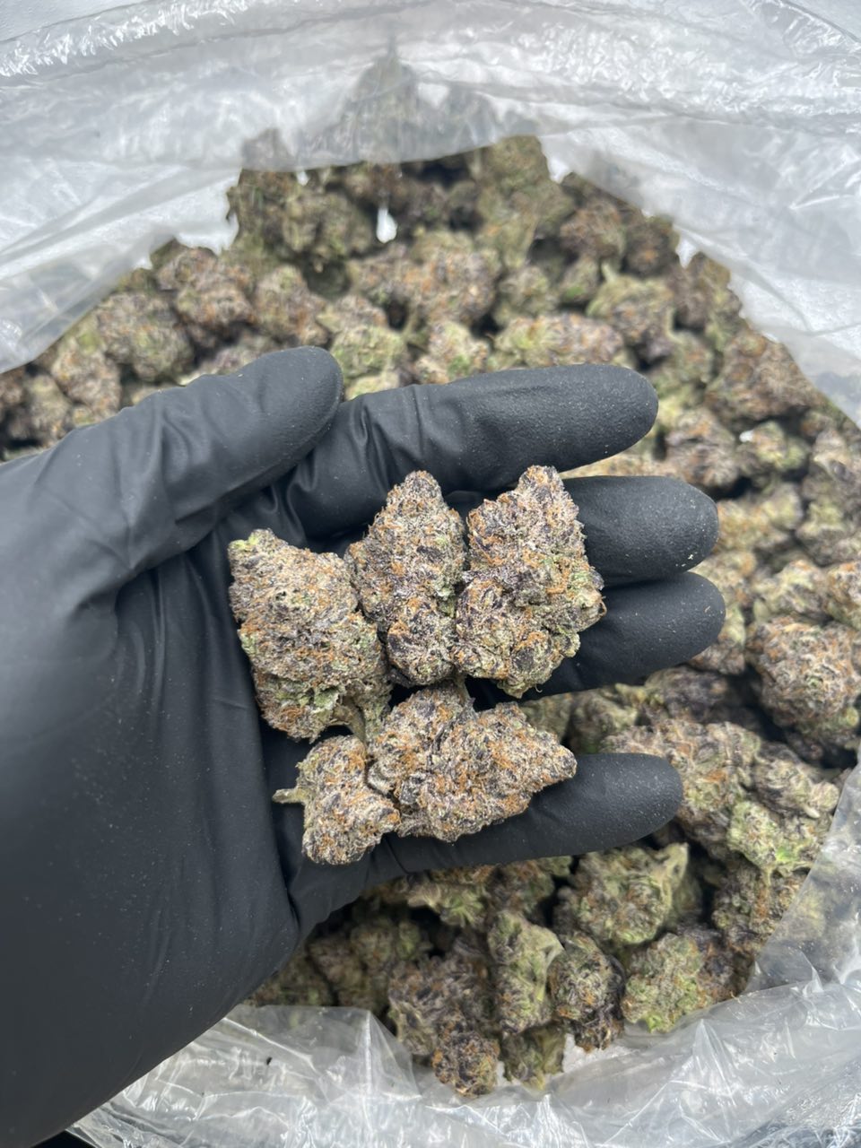 ADL π π π β Hybrid available in Los Angeles