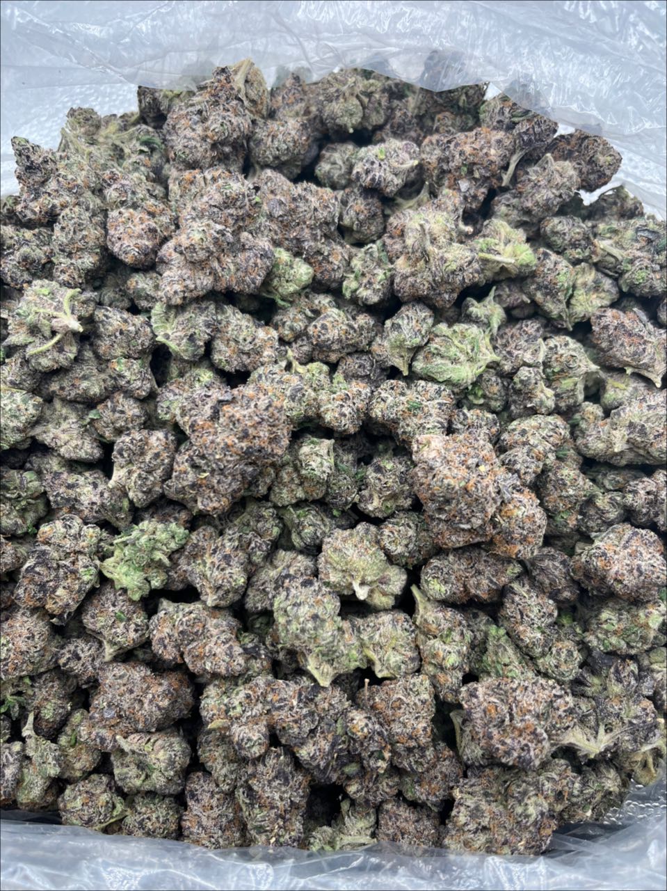 Blue Nerdz 🍭  — Hybrid available in Los Angeles