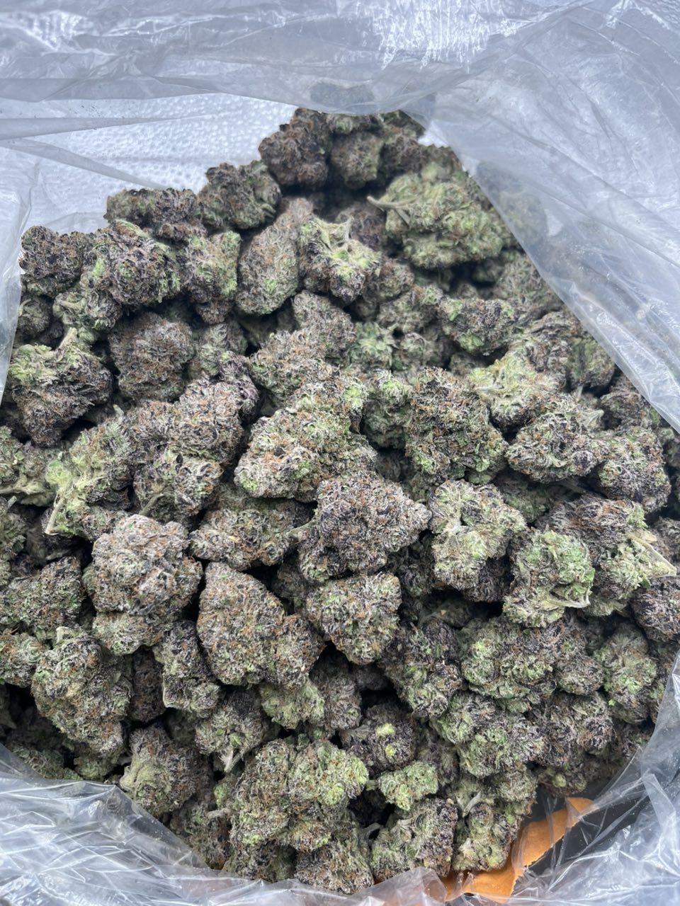 Apple Gelato π π β Hybrid available in Los Angeles
