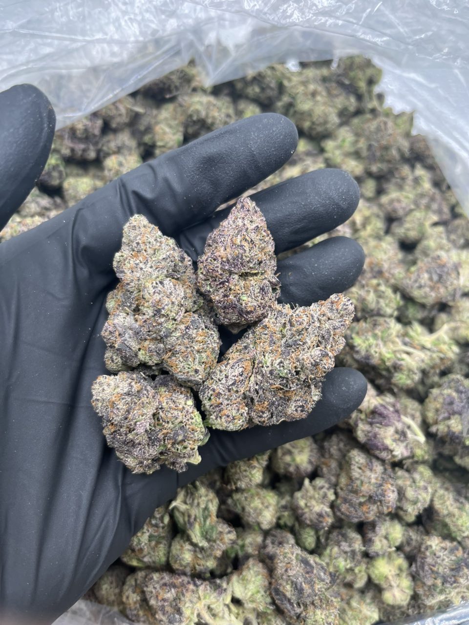 Cherry Gas ⛽️ 🍒  — Hybrid available in Los Angeles