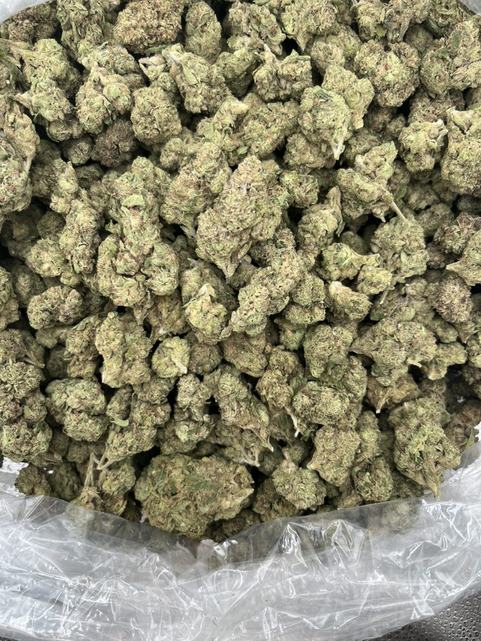 Zushi 🍭 Singles  — Hybrid available in Los Angeles