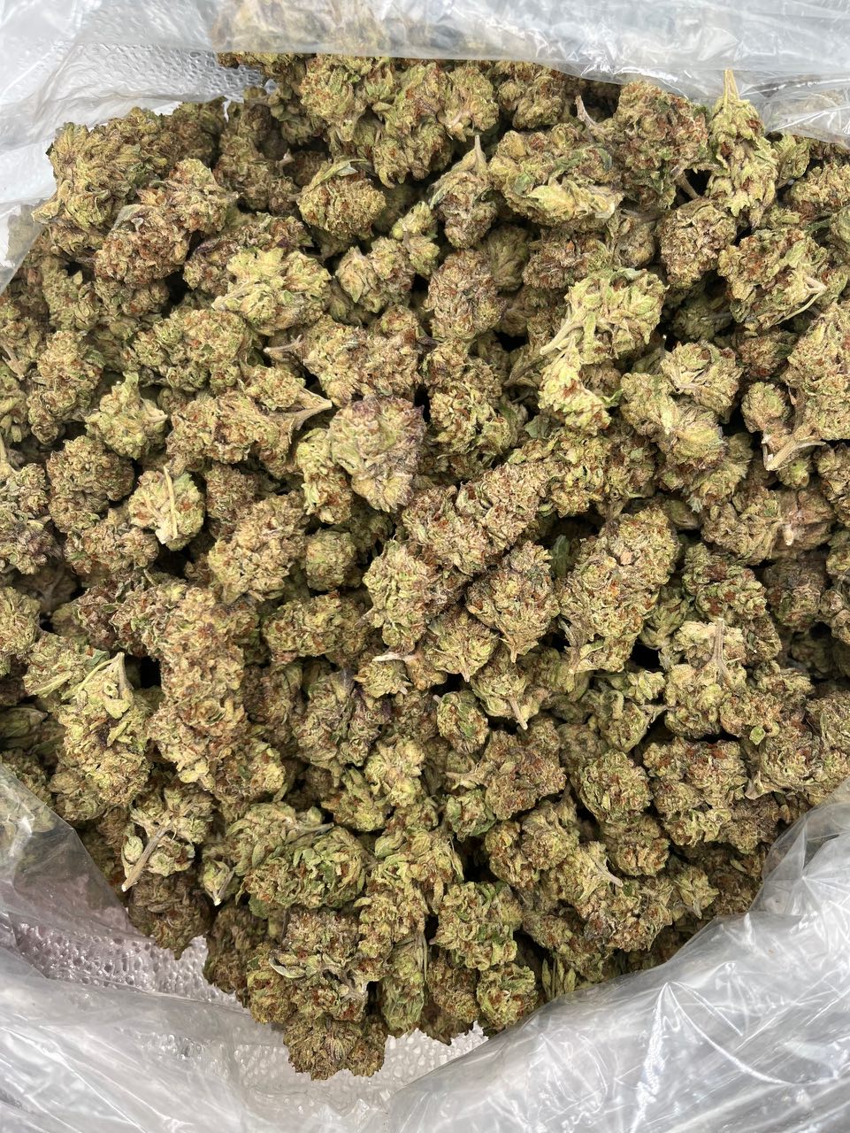 Lobster Gas 🦞 ⛽️ — Hybrid available in Los Angeles