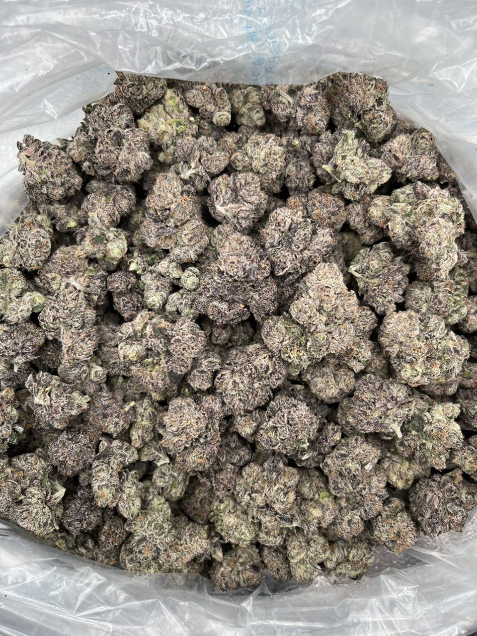Tropical Melons 🍉 🍈 🍭  — Hybrid available in Los Angeles