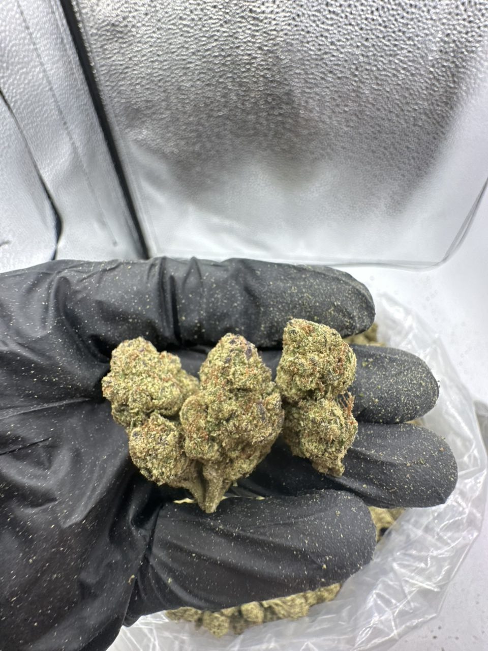 Bspace — Hybrid available in Los Angeles