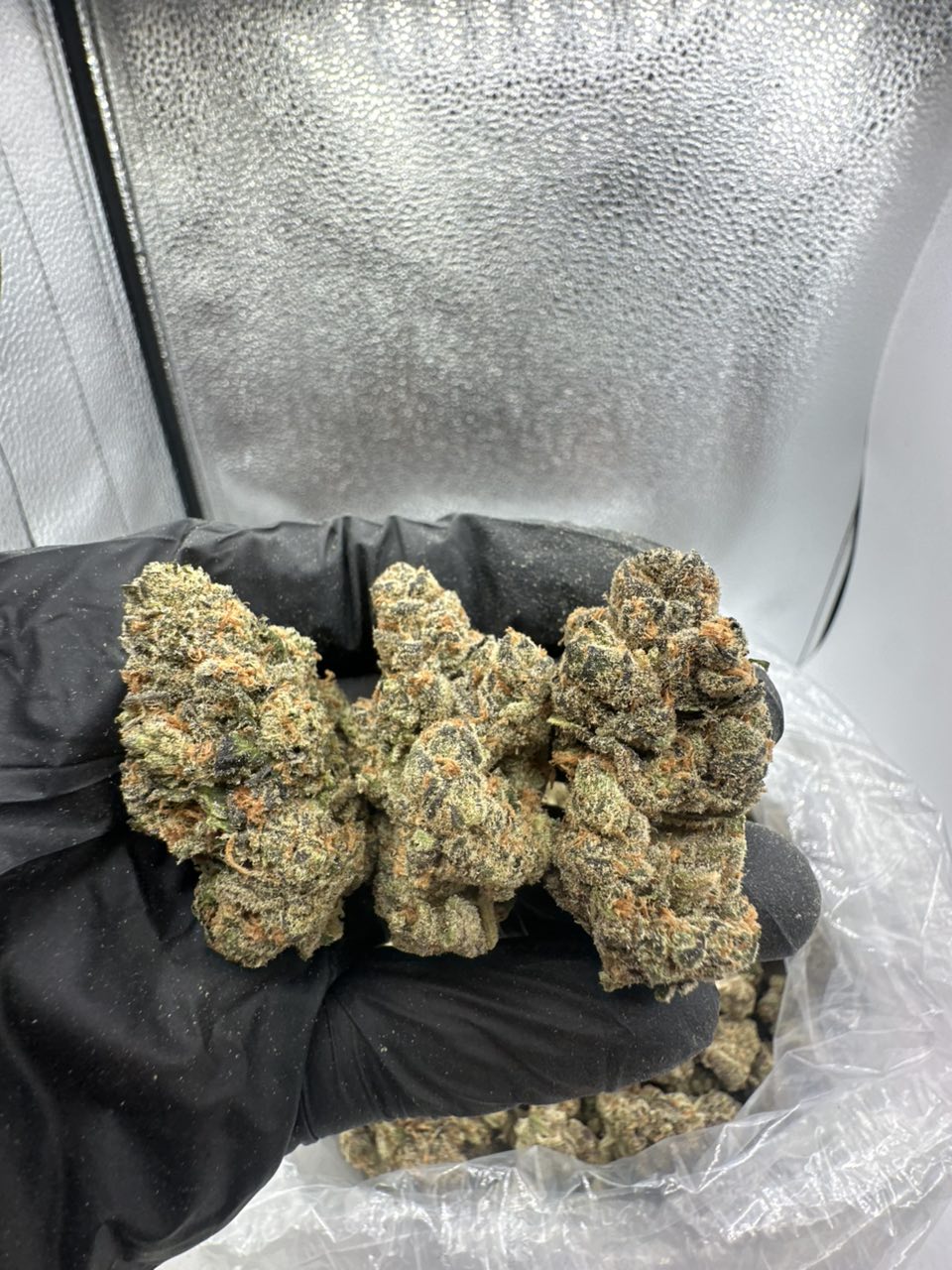 Moon Walker Flower 🚀🌑 — Indica available in Los Angeles