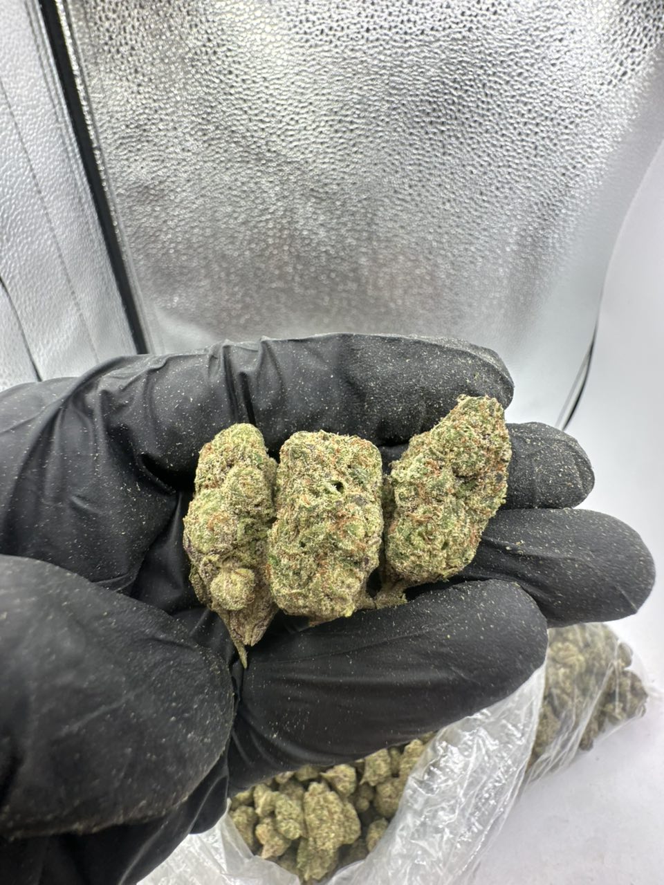 Candy Zourz (Zours) Flower 🍬🍋 — Hybrid available in Los Angeles