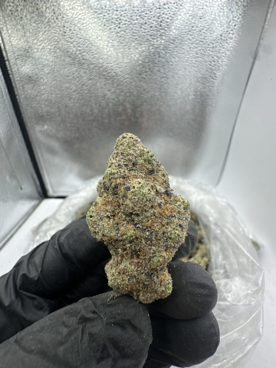 FAF FA — Hybrid available in Los Angeles