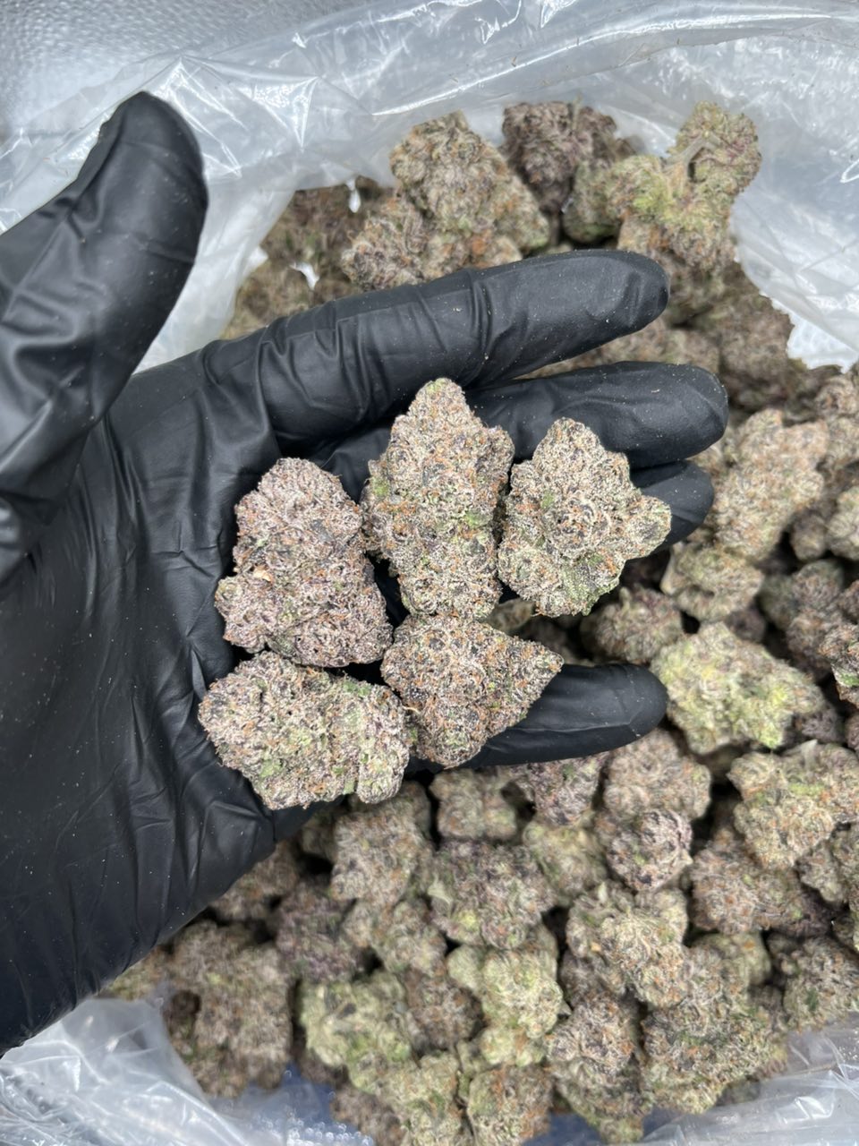 Super Runtz Flower 🍭🚀 — Hybrid available in Los Angeles