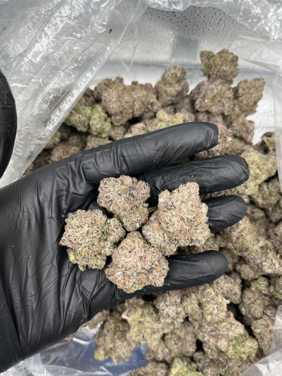 Strawberry mochi π β Hybrid available in Los Angeles