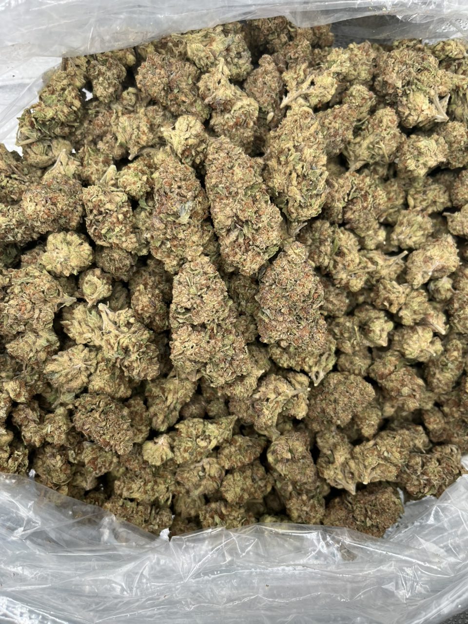 Lobster Butter ๐ง โ Indica available in Los Angeles