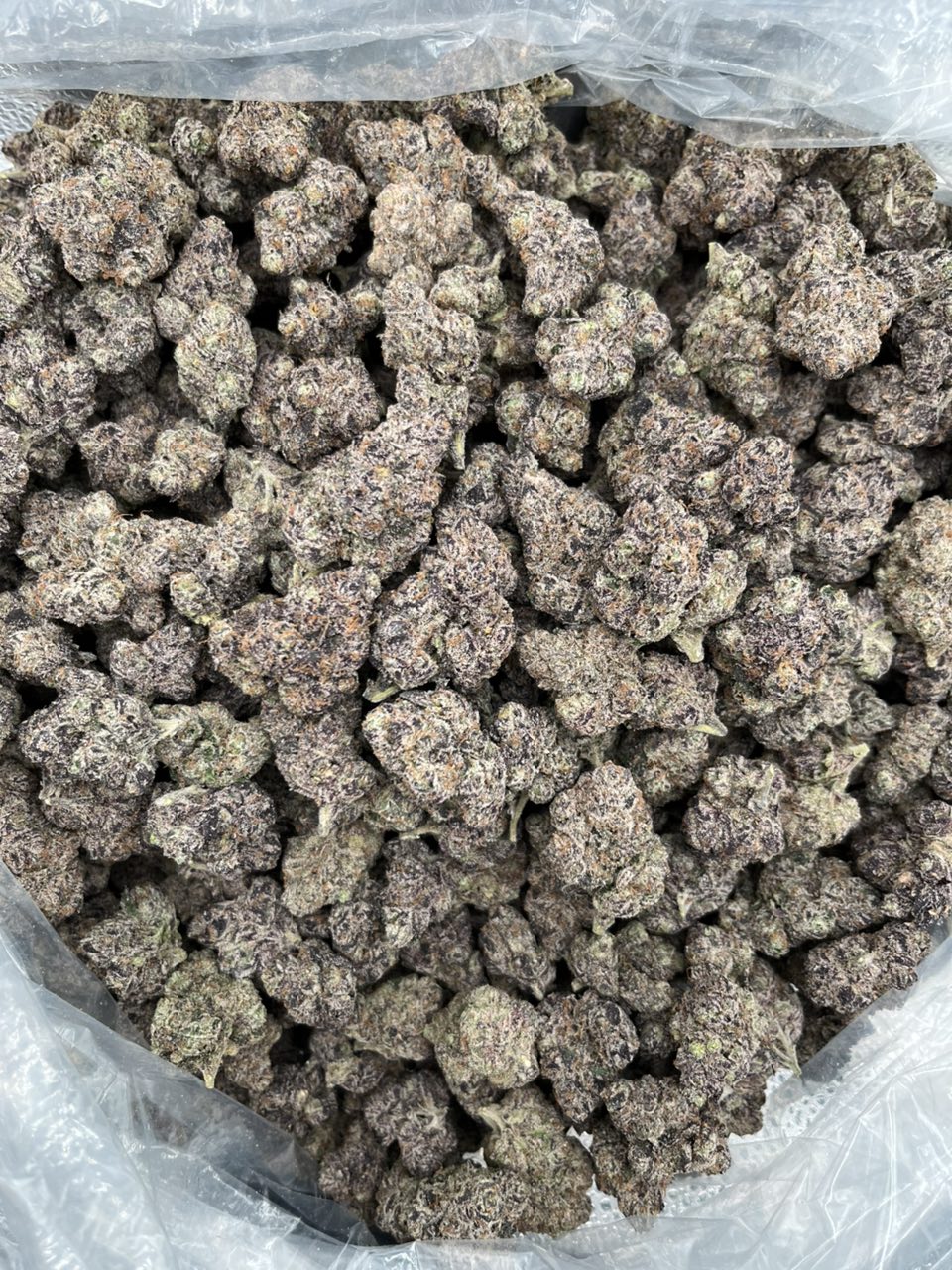 Fruit Loops 🍭  — Hybrid available in Los Angeles