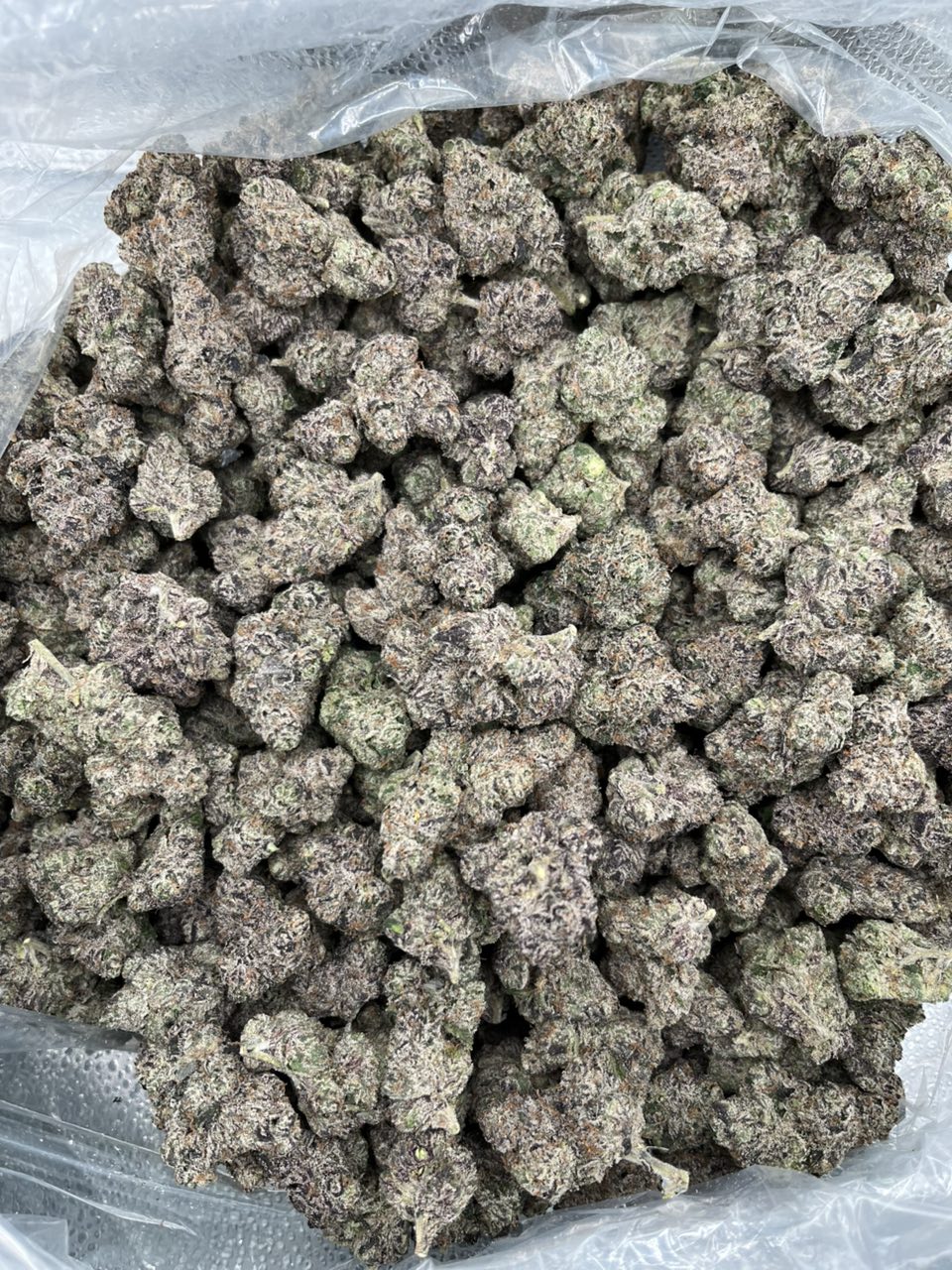 White Peaches 🍑 🍭 — Hybrid available in Los Angeles