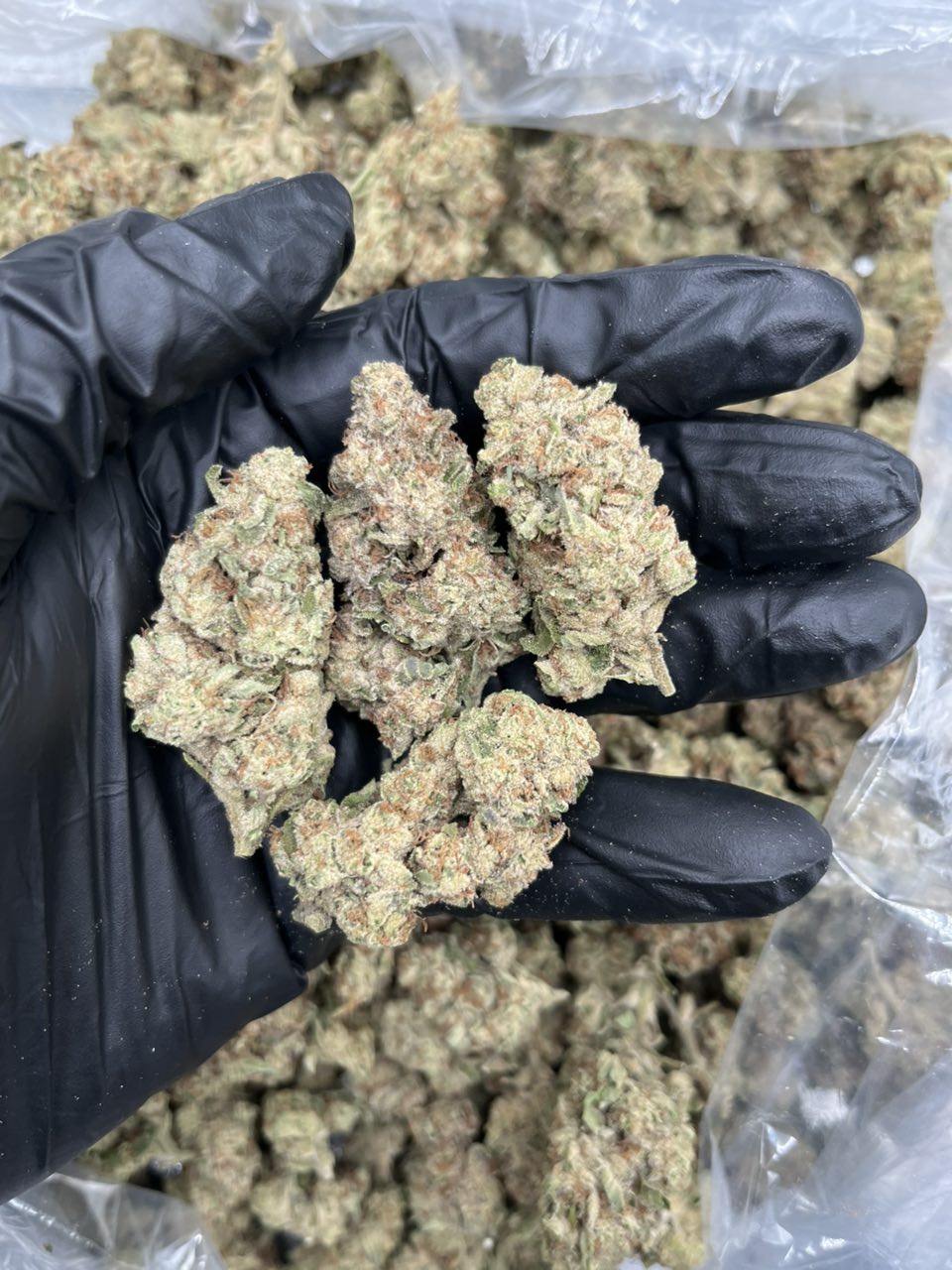New batch of cherry pie 🥧  — Indica available in Los Angeles