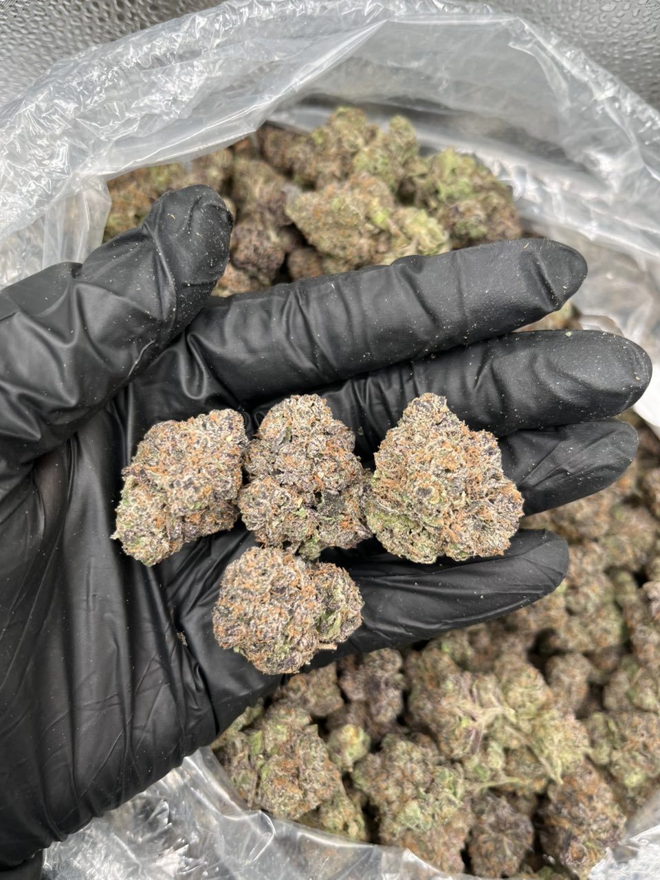 Pink Certz 🍬 ⛽️  — Hybrid available in Los Angeles