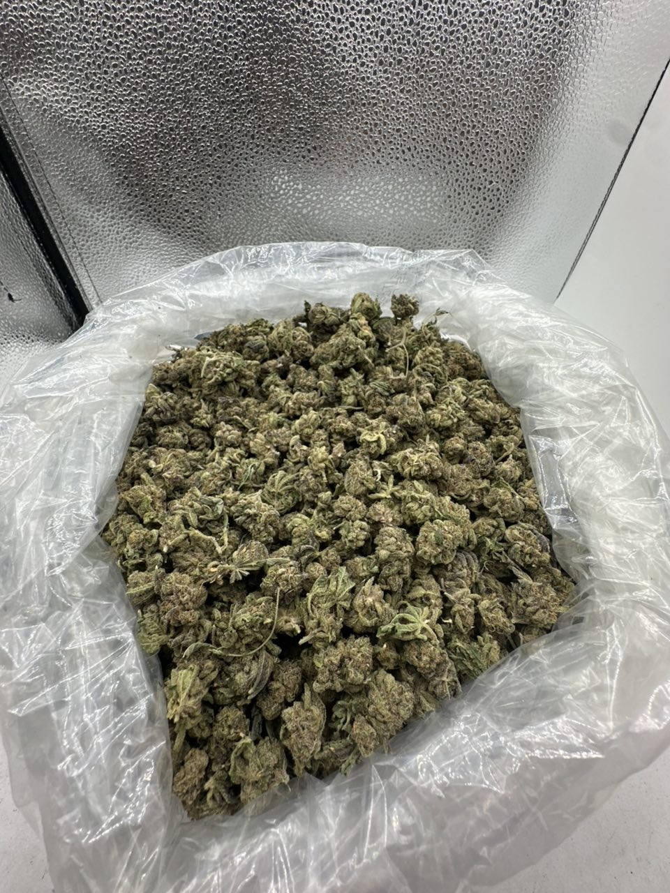 Cinnamon Milk smalls  — Hybrid available in Los Angeles