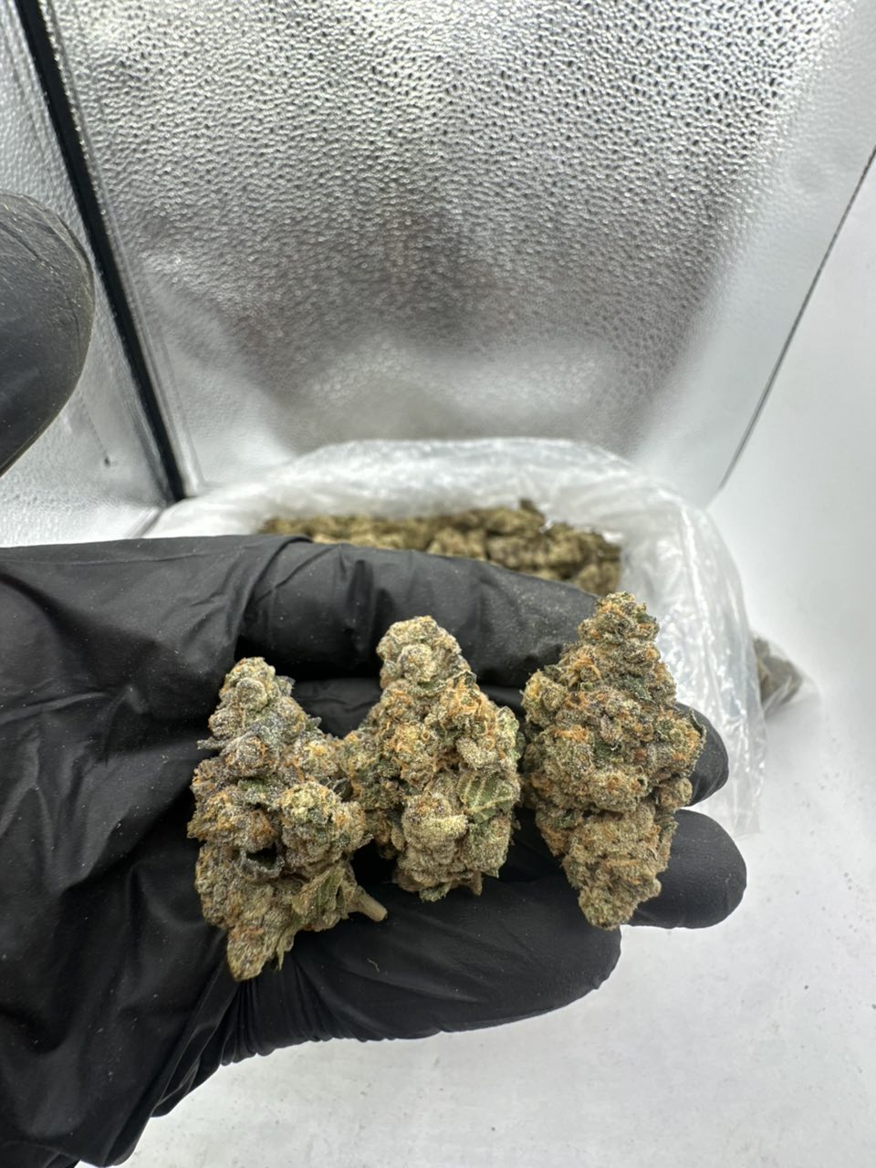 Blue suede  — Hybrid available in Los Angeles
