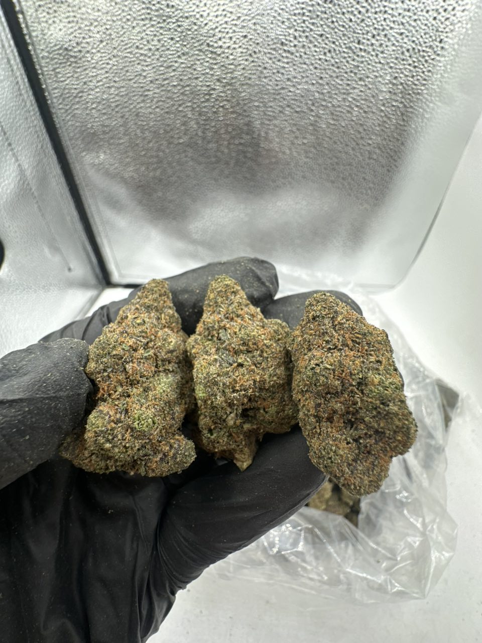 Galactic Runtz  — Hybrid available in Los Angeles