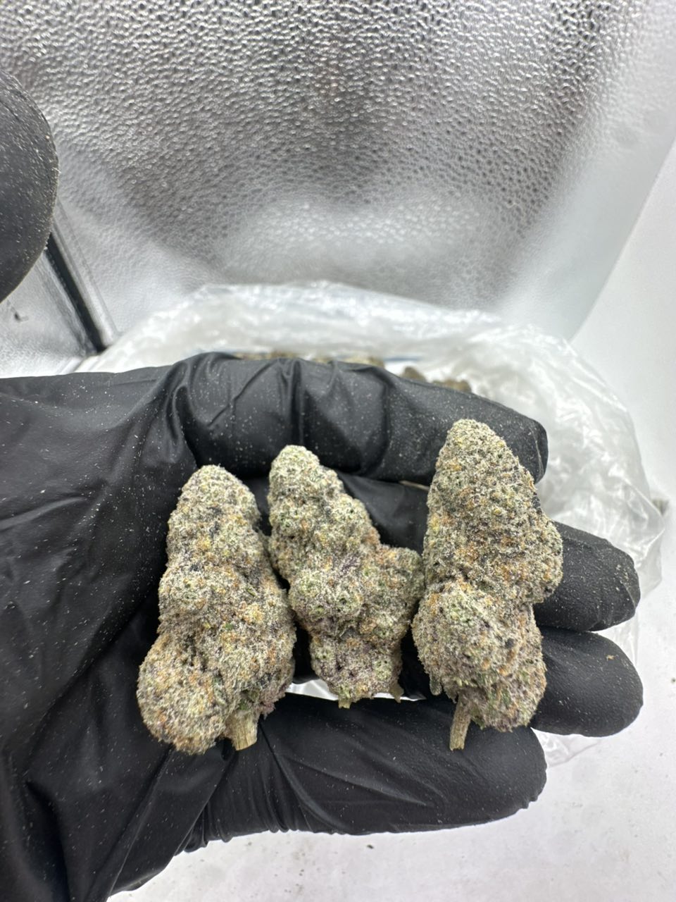 Blue Sherb FA  — Indica available in Los Angeles