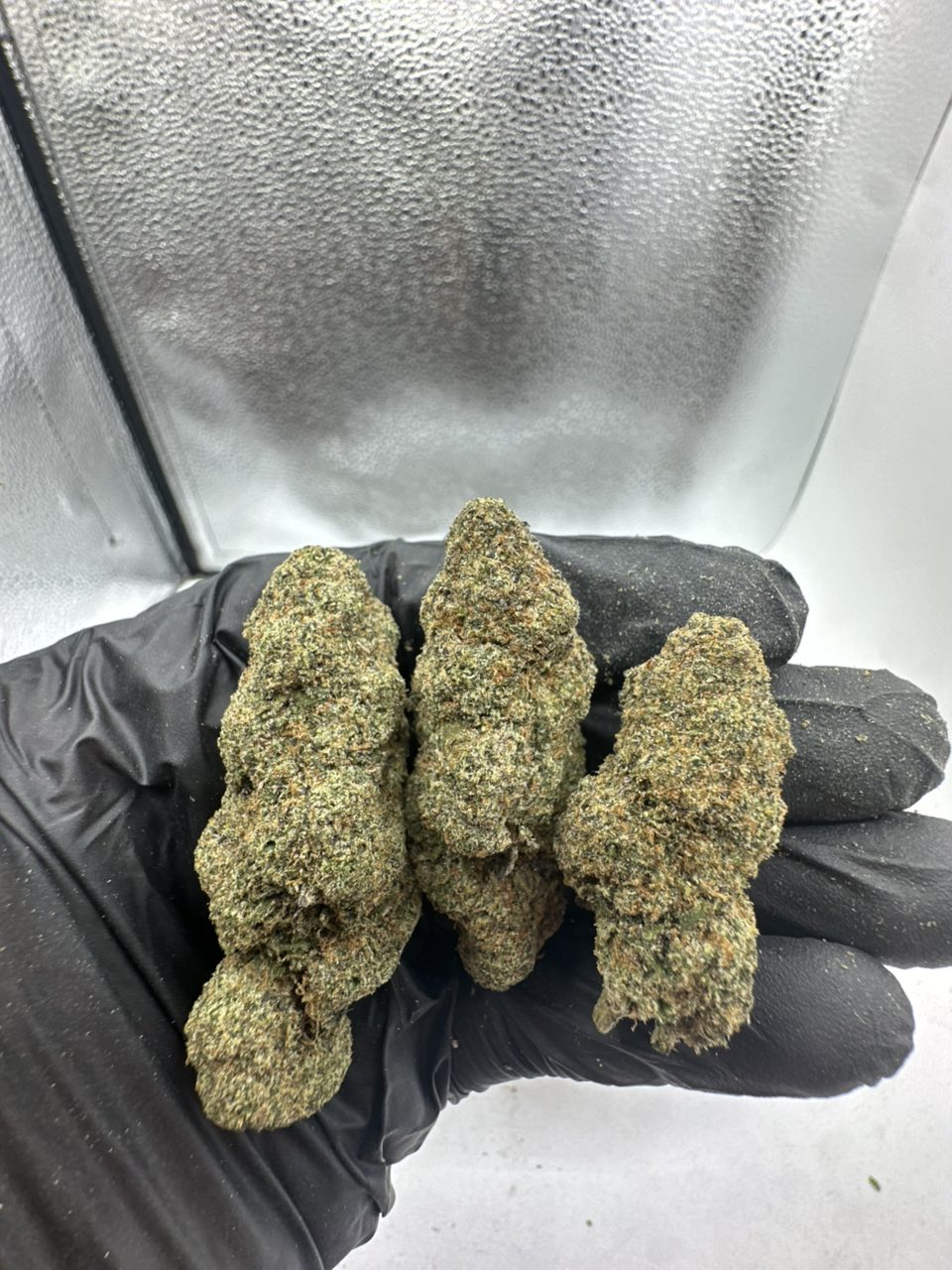 Mellows FA  — Indica available in Los Angeles