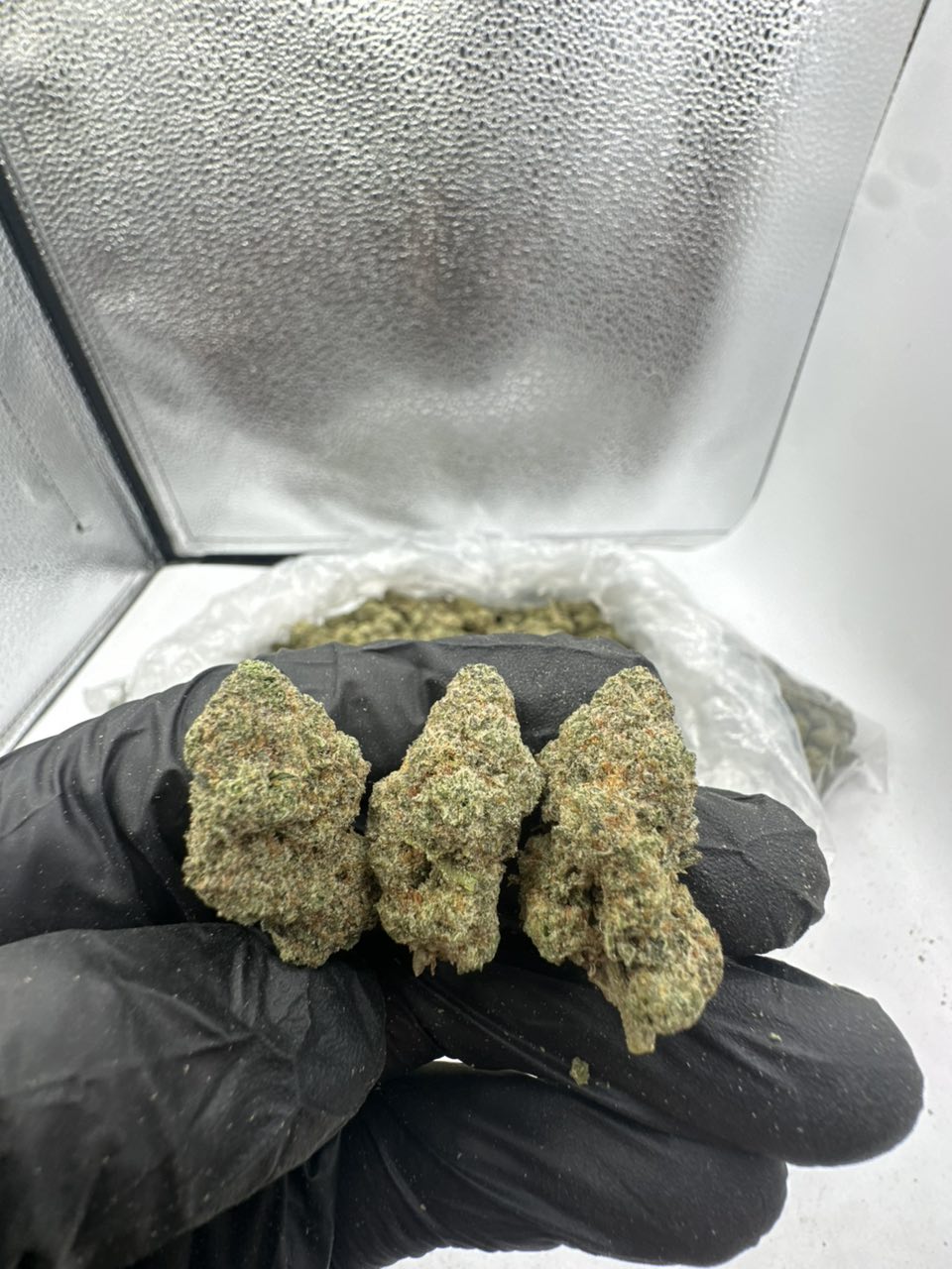 Platinum Gelato — Indica available in Los Angeles