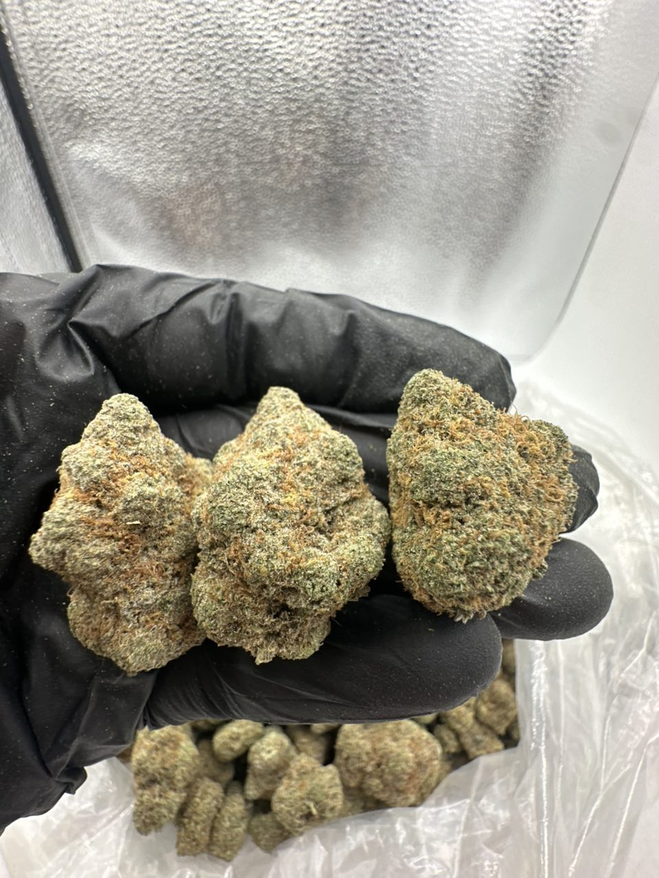 Blue Pie — Indica available in Los Angeles