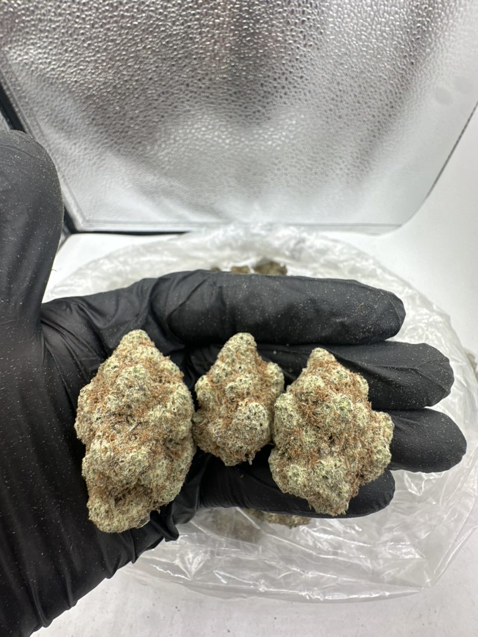 Gummiez  — Hybrid available in Los Angeles