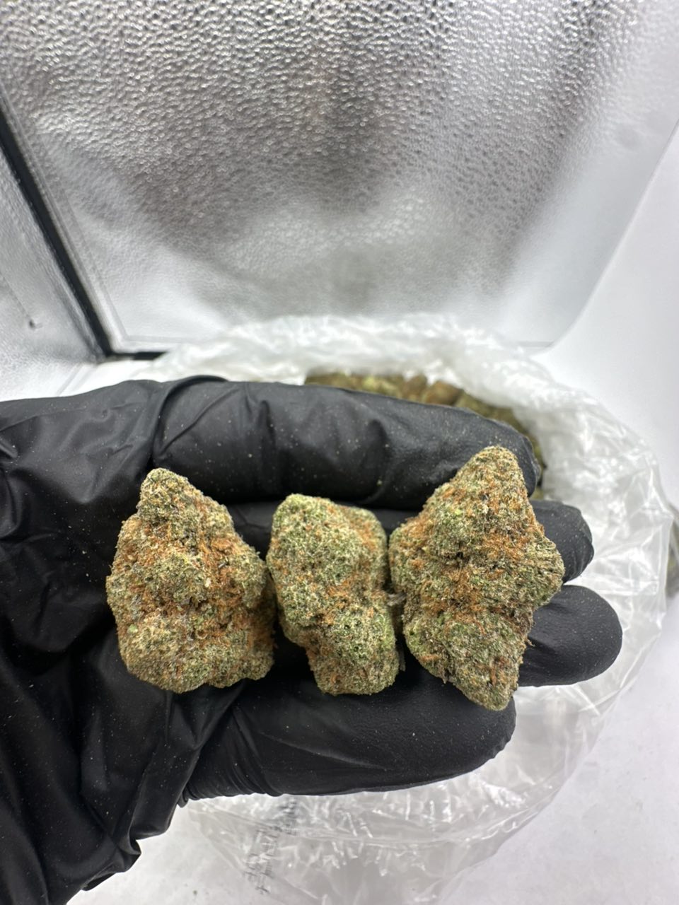 FTP pz  — Hybrid available in Los Angeles