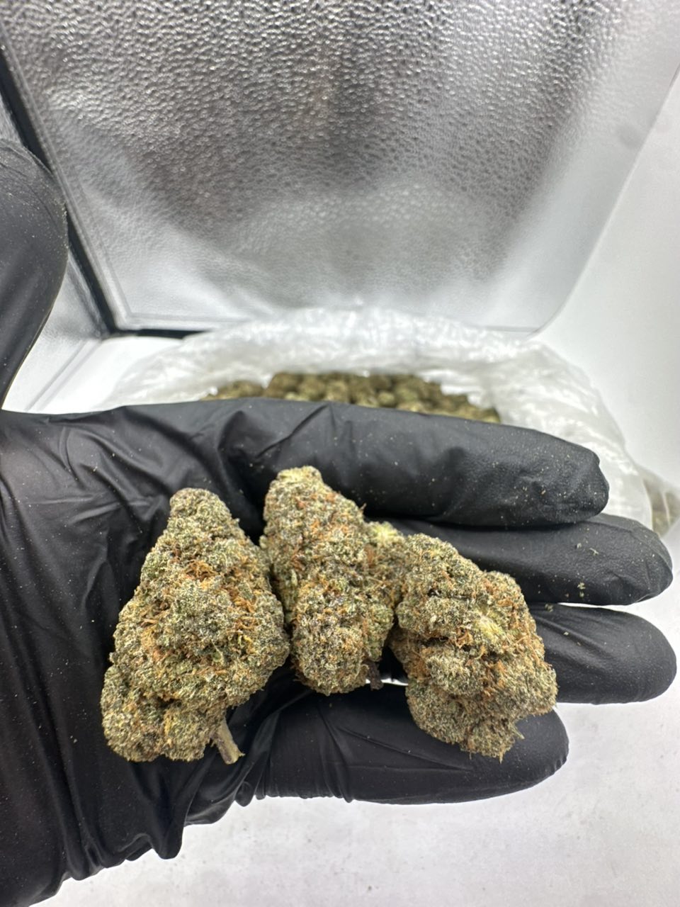 SCP pz  — Hybrid available in Los Angeles