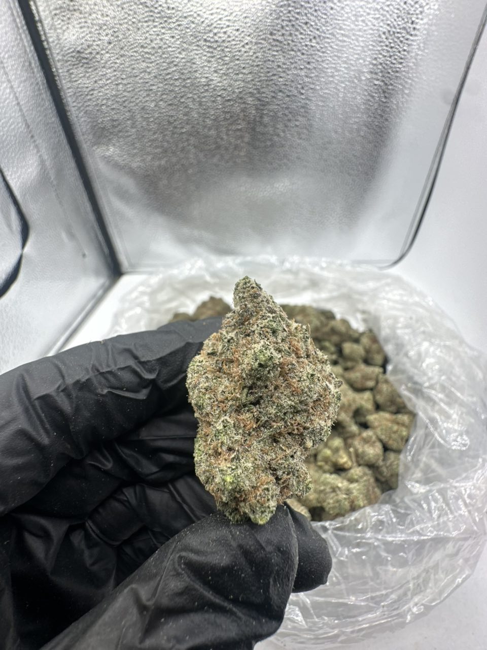 Sub zero  — Hybrid available in Los Angeles