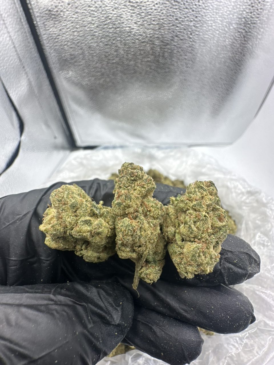 Blue Runtz Ca — Indica available in Los Angeles