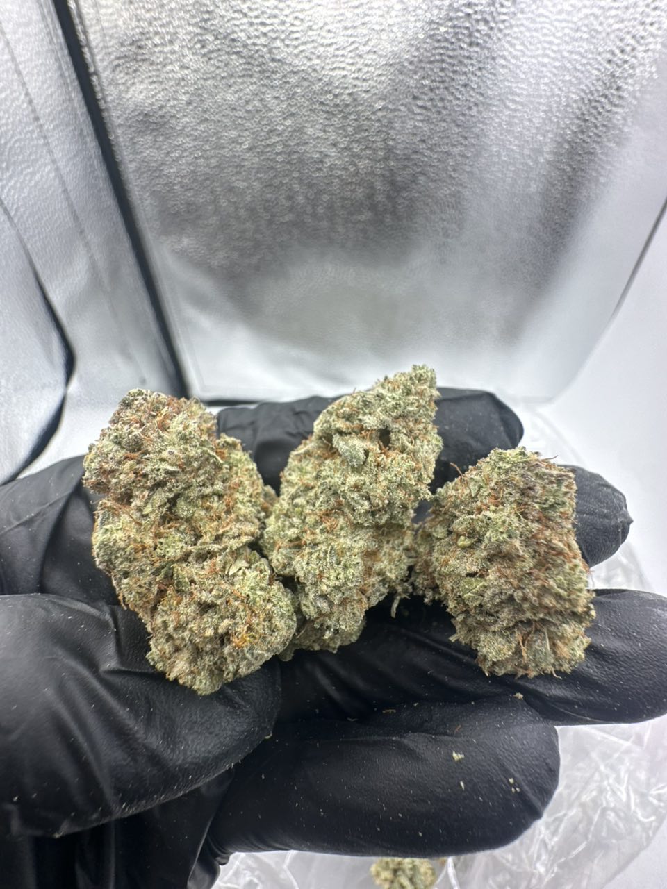 GG4(gorilla glue 🦍) — Indica available in Los Angeles