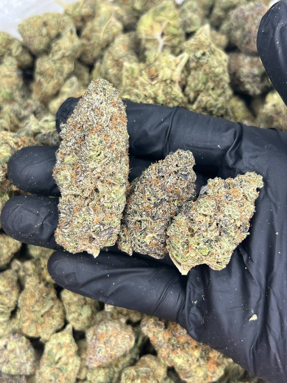 Indoor Sundae Driver — Hybrid available in Los Angeles