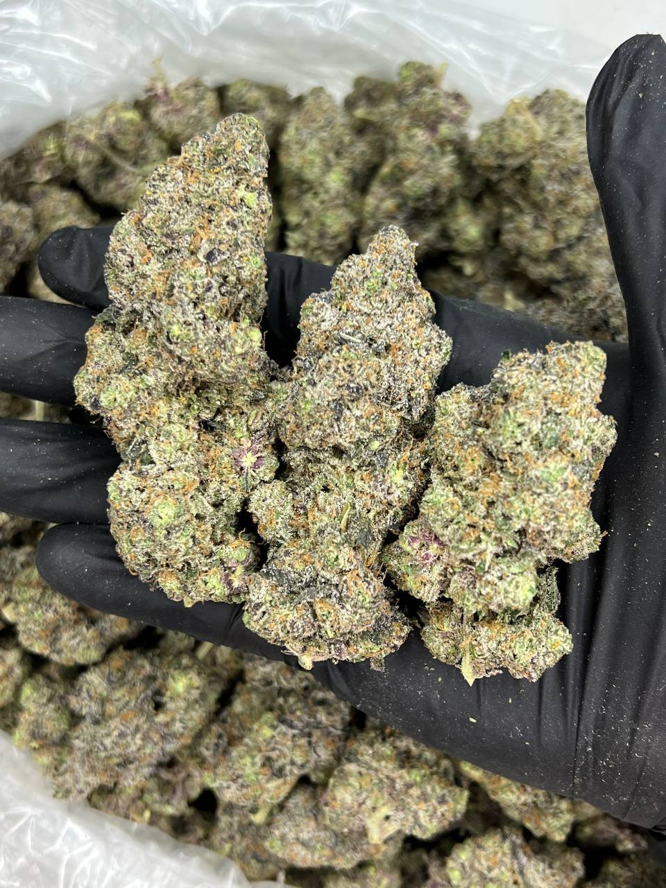 Donkey Butter — Indica available in Los Angeles