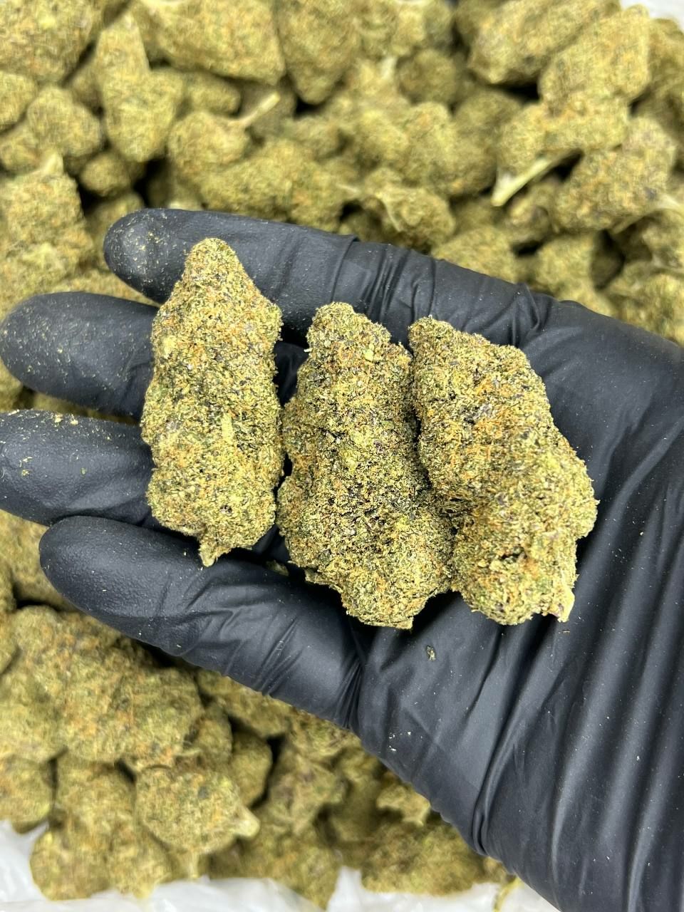 Indoor Cookie — Indica available in Los Angeles