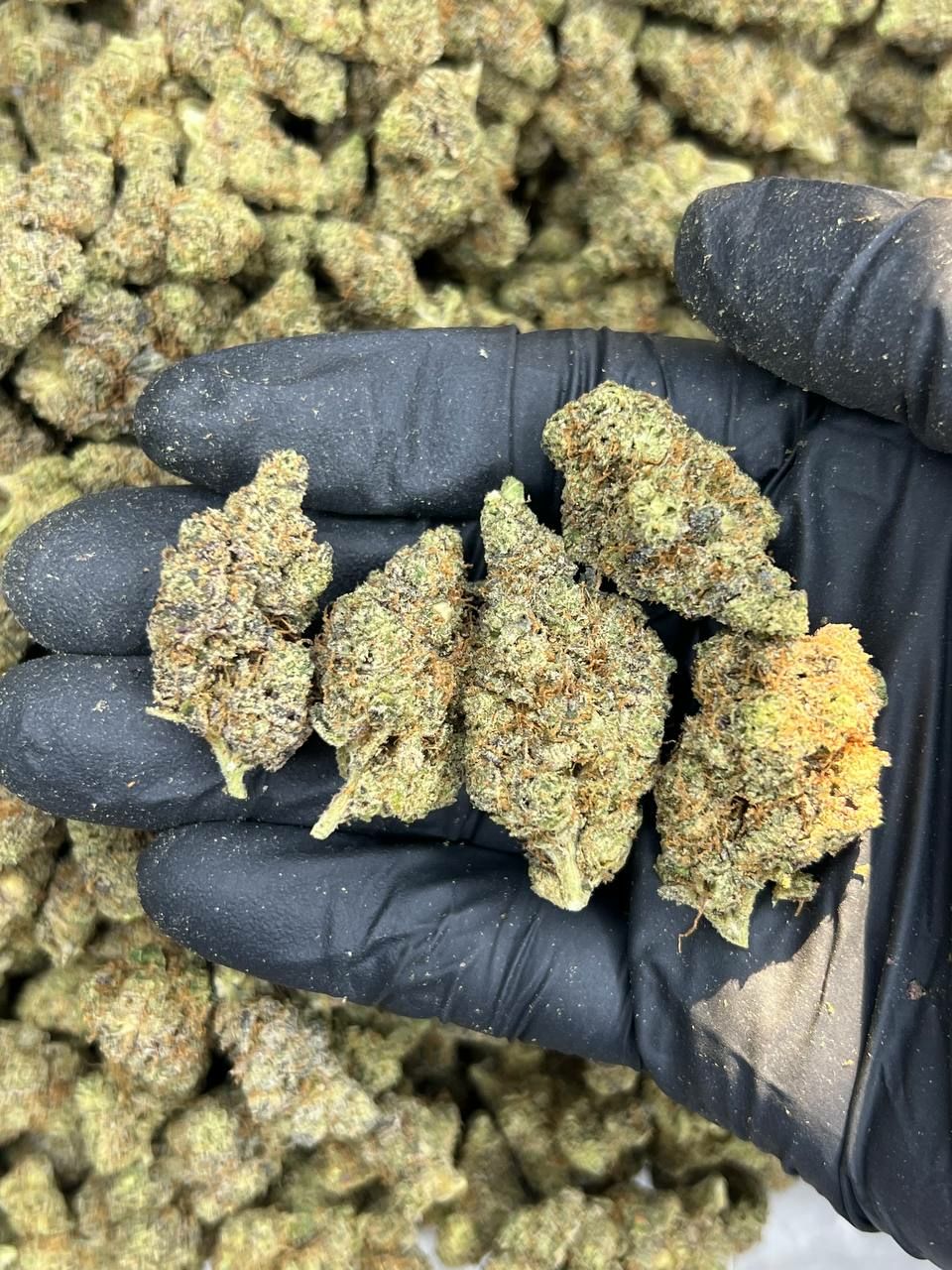 Sherb  — Indica available in Los Angeles