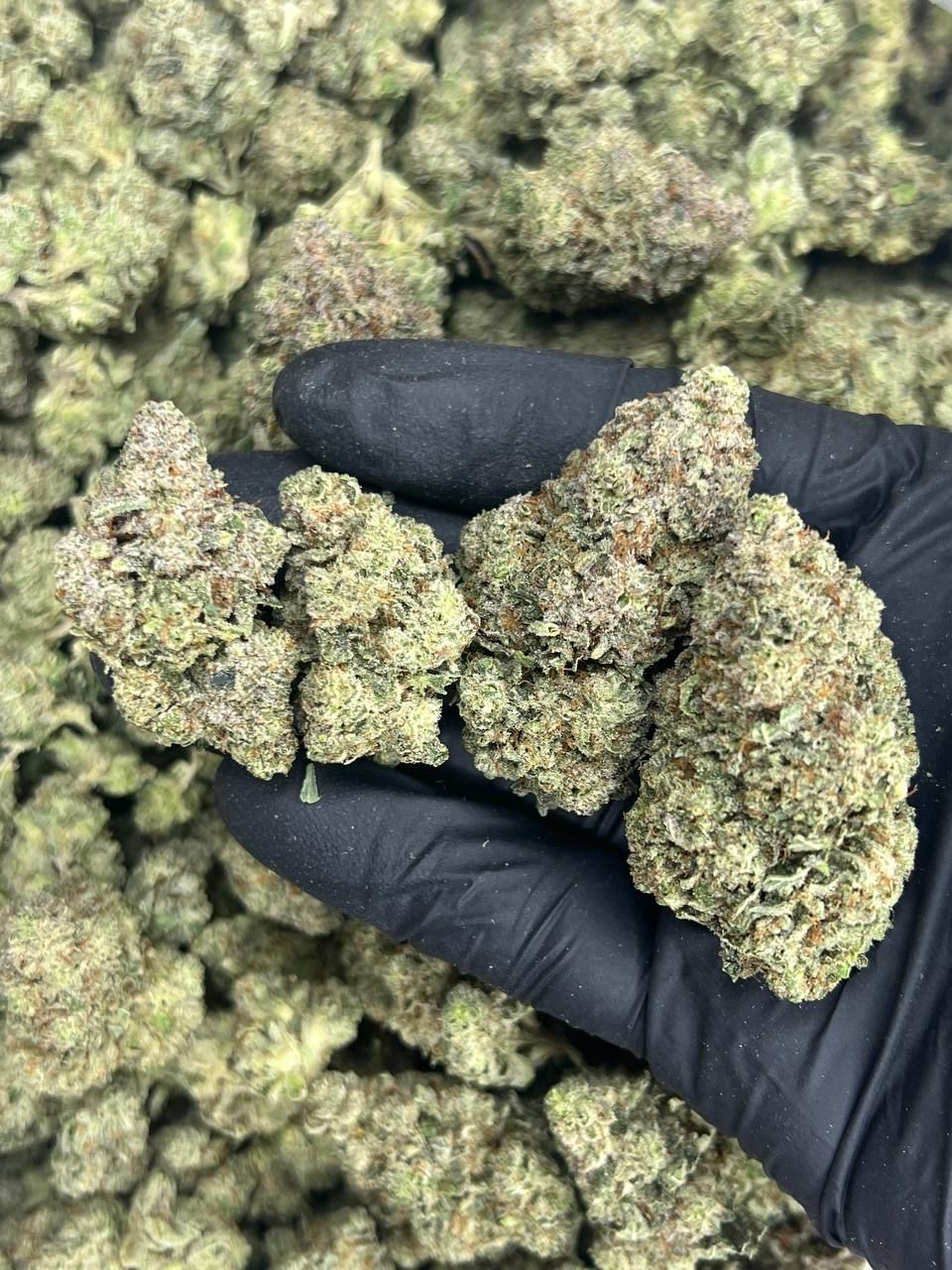 Grease Monkey  — Indica available in Los Angeles
