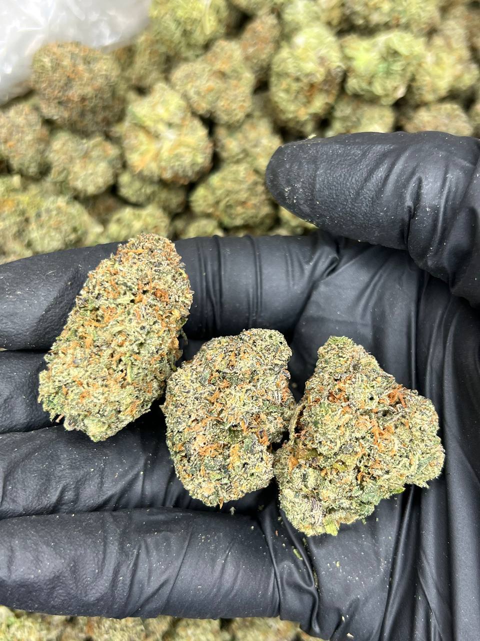 Dolce Runtz — Indica available in Los Angeles