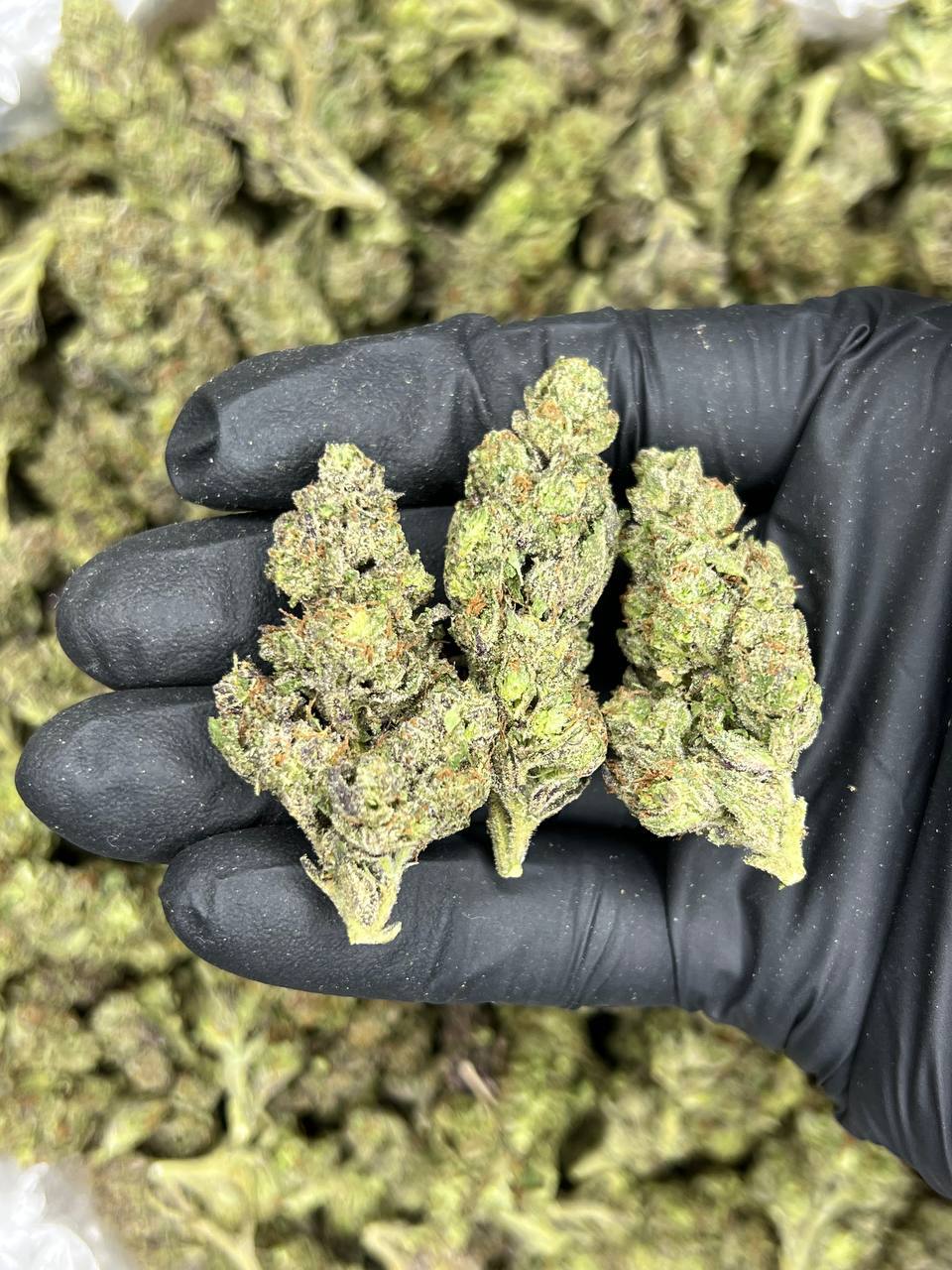 TRIPLE AAA Frosted Flakes  — Indica available in Los Angeles