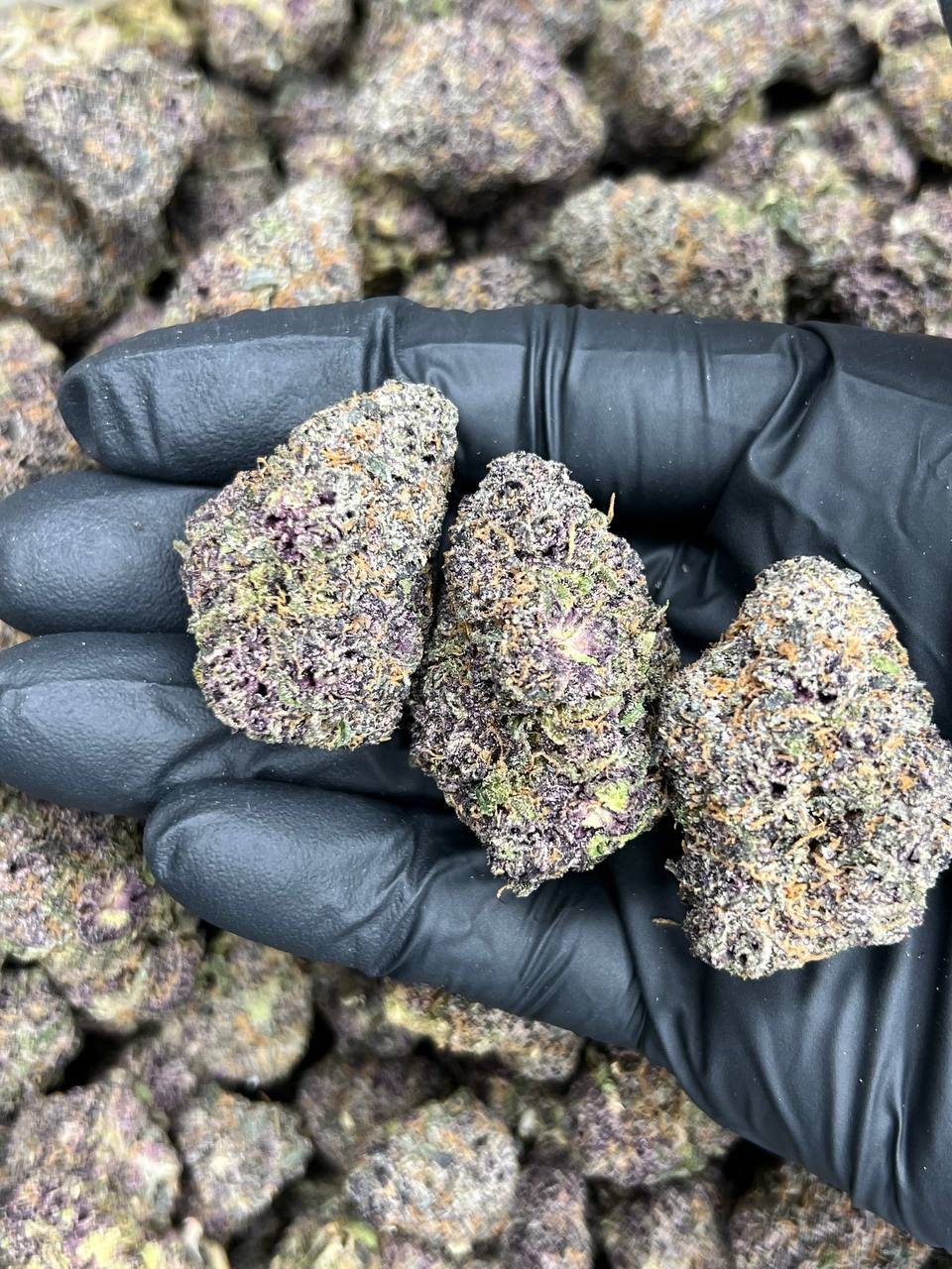 LA Runtz — Indica available in Los Angeles