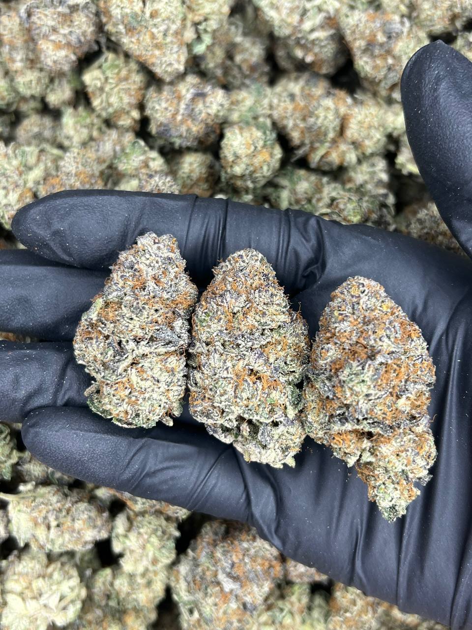 Indoor Moochi  — Indica available in Los Angeles