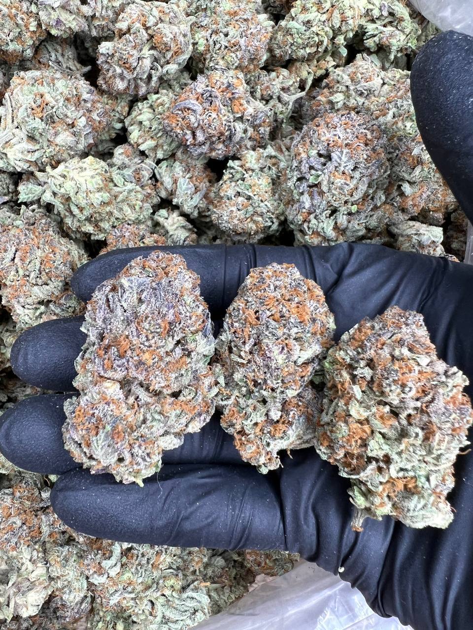 Lava Cake  — Indica available in Los Angeles